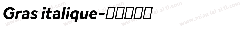 Gras italique字体转换